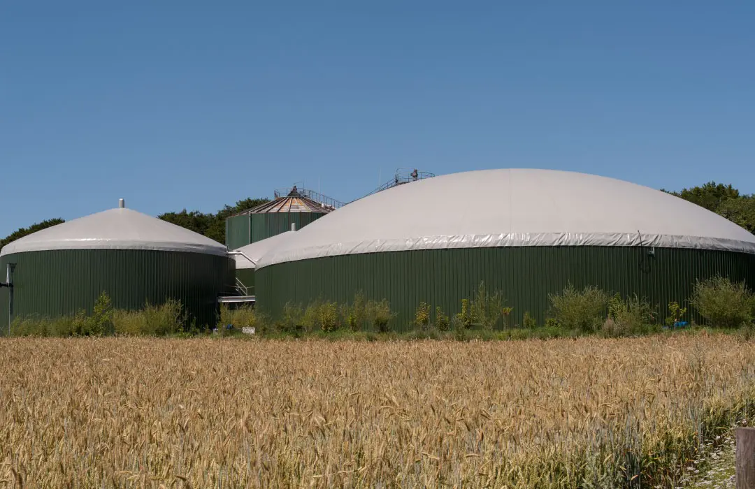 Is Anaerobic Digestion Profitable?