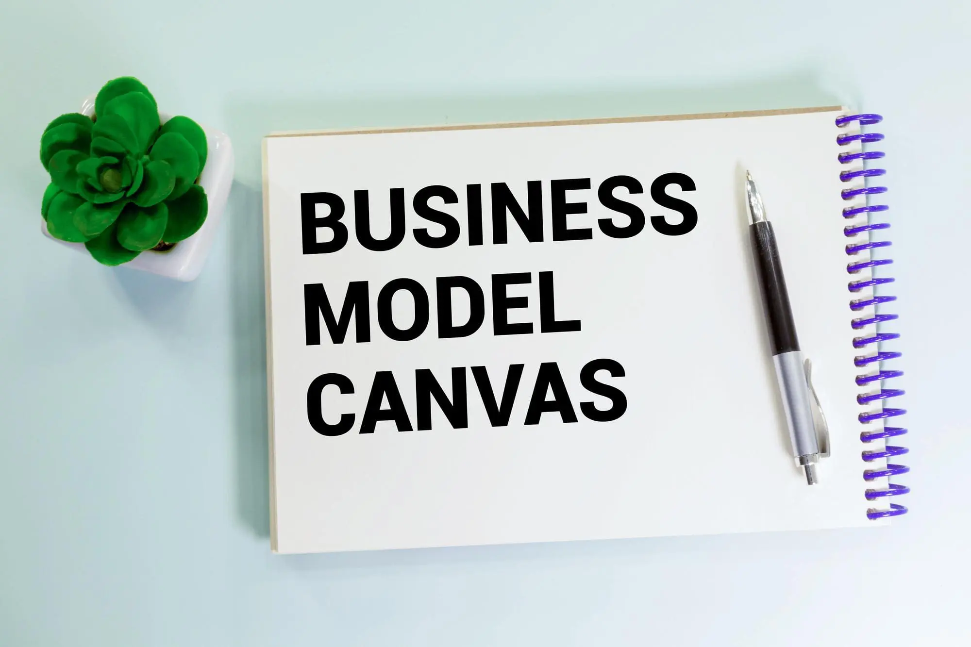 Business Model Canvas: Guide for Attracting Investment