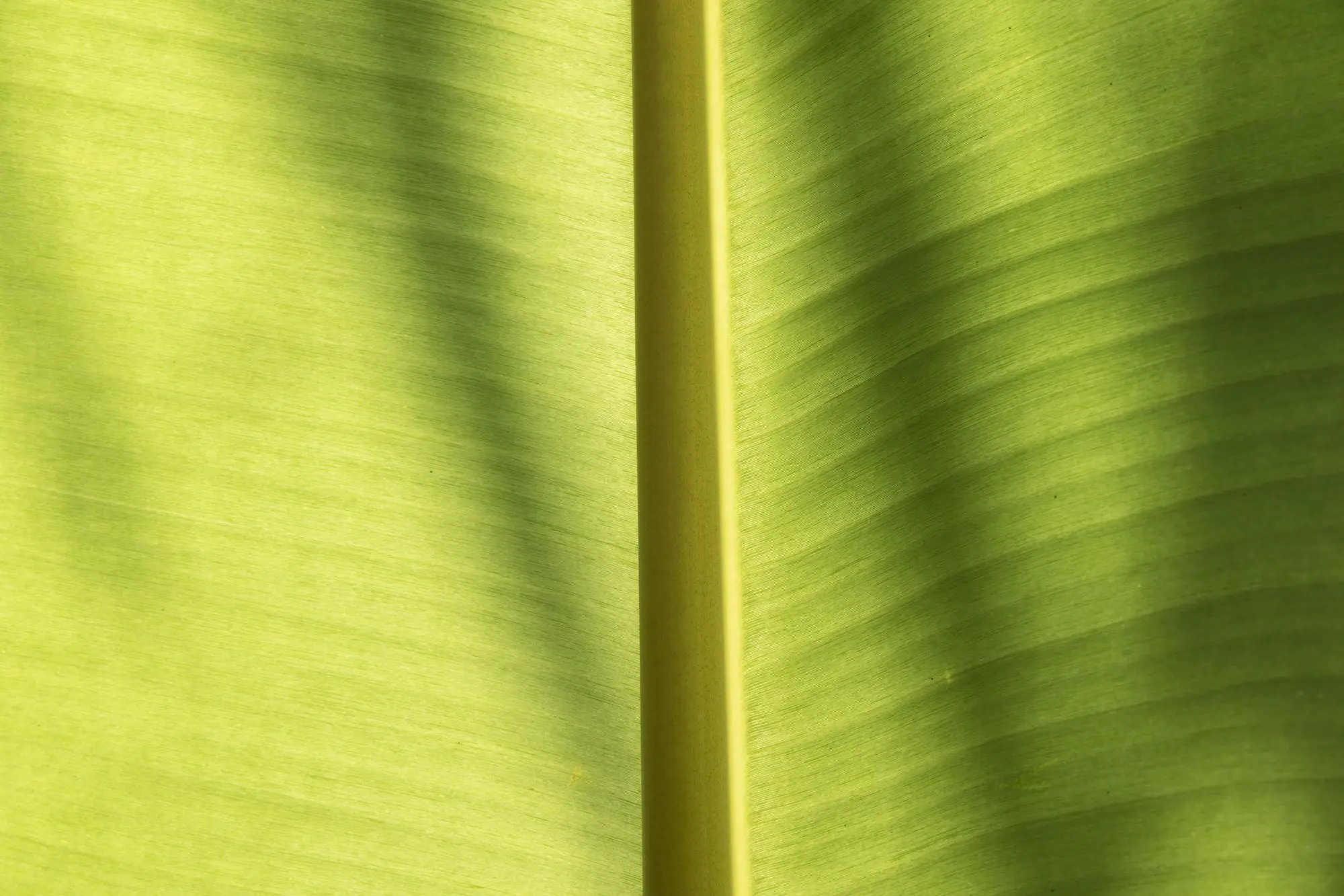 Full frame shot of green metal