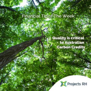 carbon offset vs carbon credit