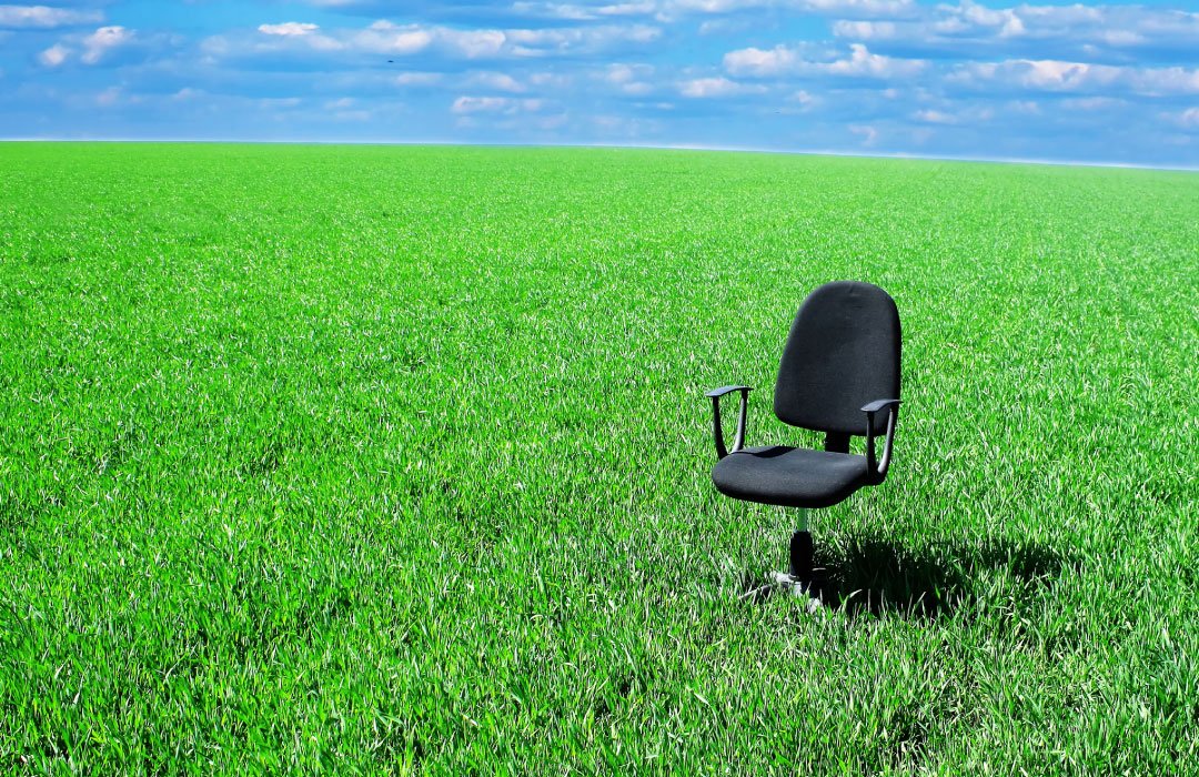 chair in the grass