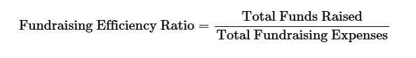 fundraising efficiency ratio Projects RH