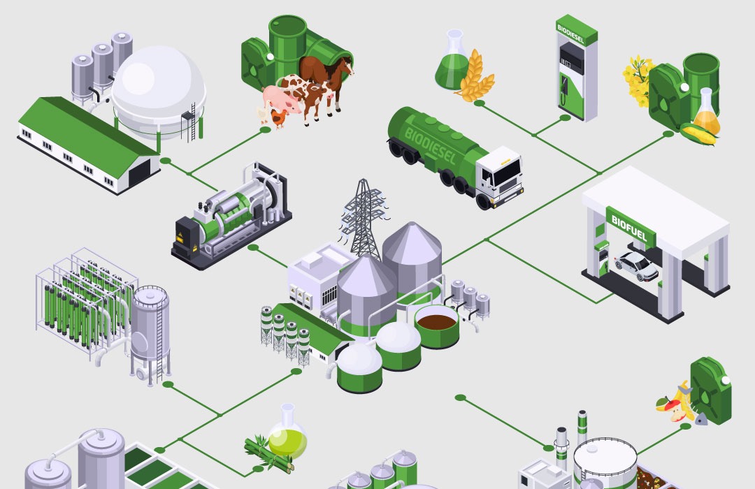 Economics of anaerobic digestion: Unlocking sustainable energy and financial opportunities